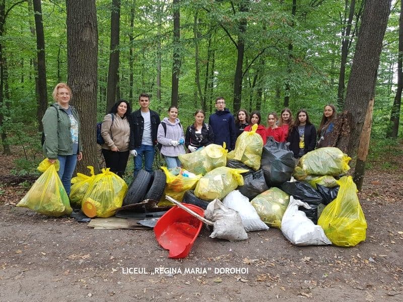 Ecologizare_08