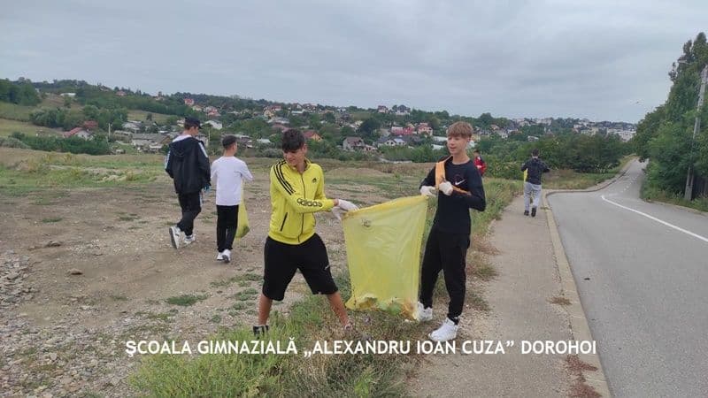 Ecologizare_15