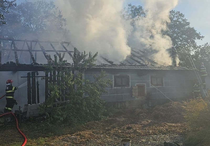Incendiu Braesti_01