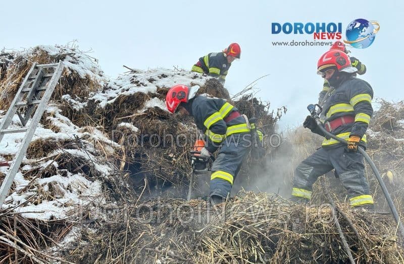 Incendiu la Dorohoi_05
