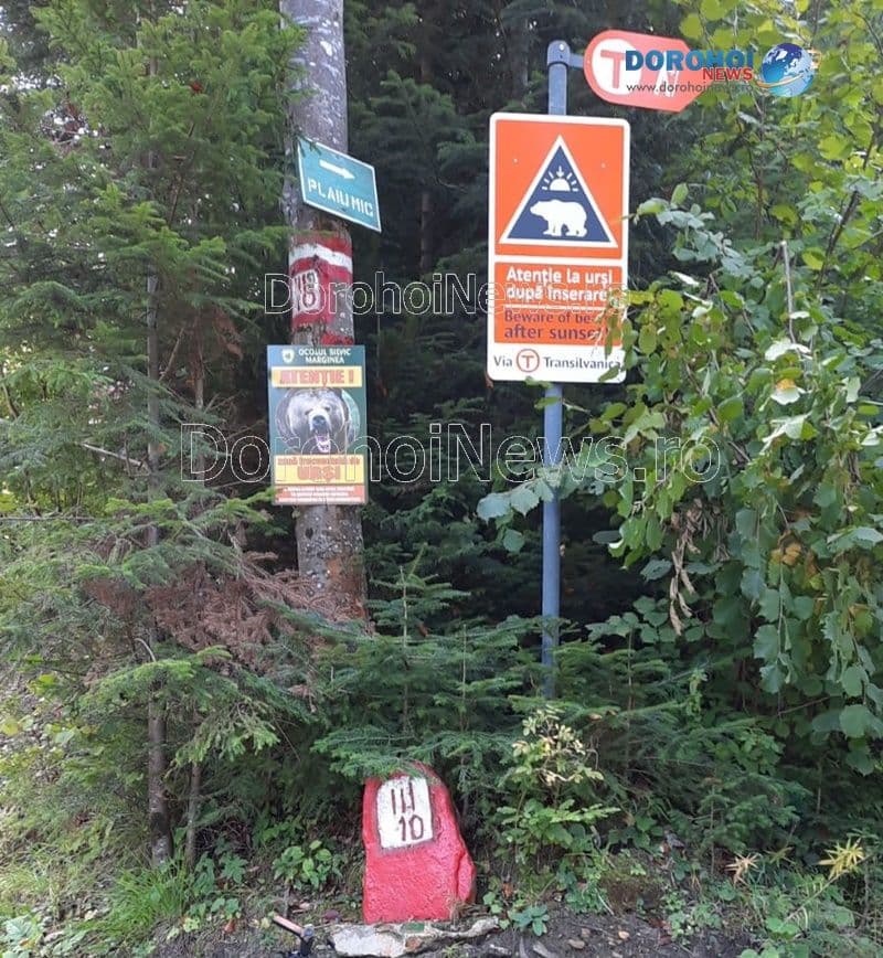 Foto_05
