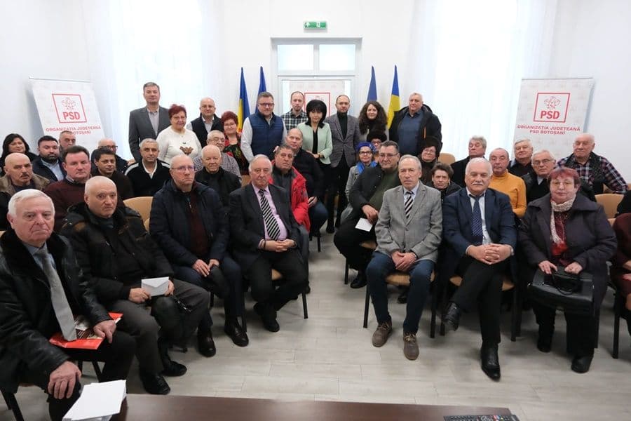 psd botosani 03