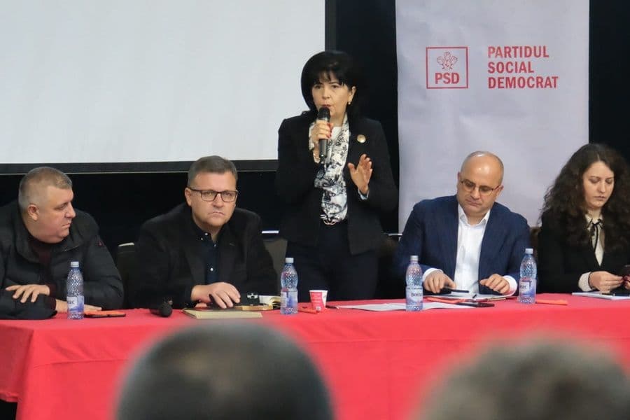 psd botosani 08
