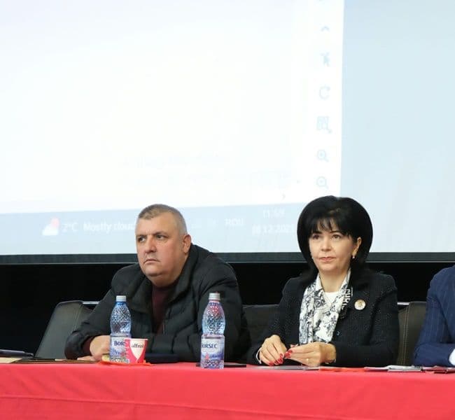psd botosani 13