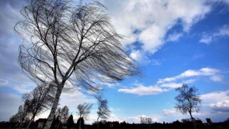 Informare meteo emisă de ANM: Precipitații și intensificări ale vântului inclusiv în județul Botoșani