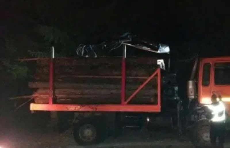 Material lemnos confiscat de polițiști la Cordăreni