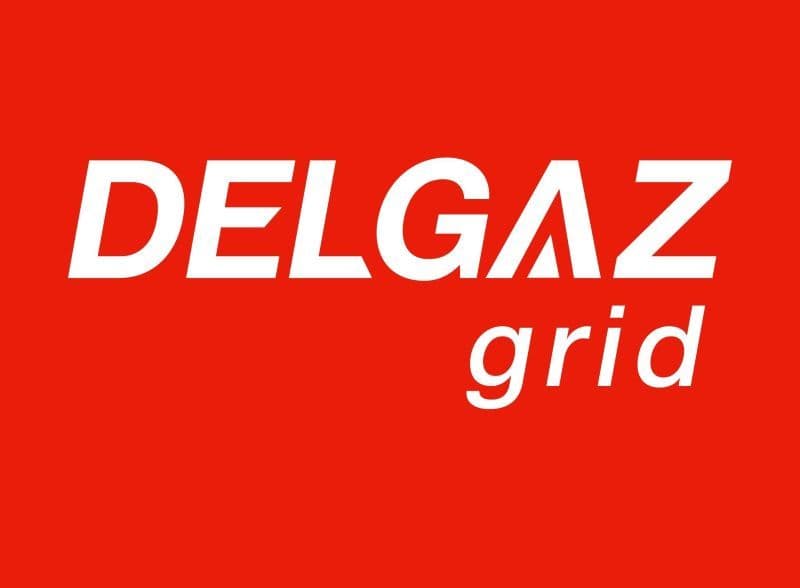 Compania de distribuție Delgaz Grid a lansat Ghidul prosumatorului