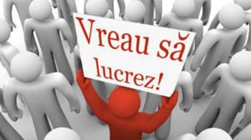 Aproape 4000 de persoane s-au angajat, prin intermediul AJOFM Botoșani, pe parcursul anului trecut