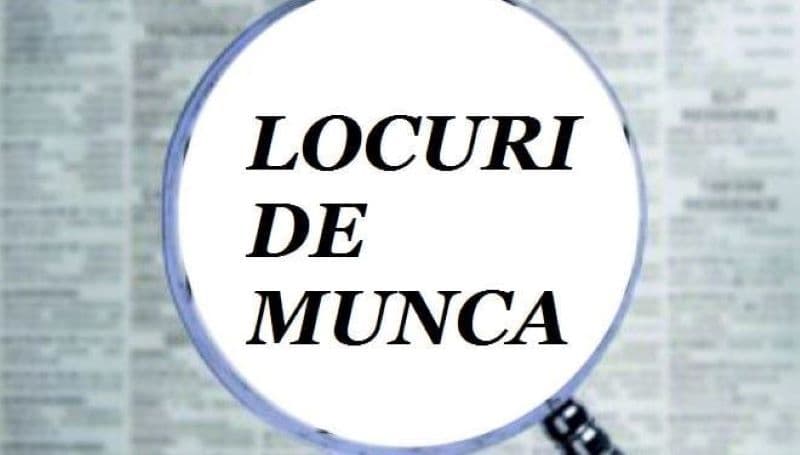 AJOFM Botoșani: Peste 400 de locuri de muncă neocupate. Vezi în ce domenii!