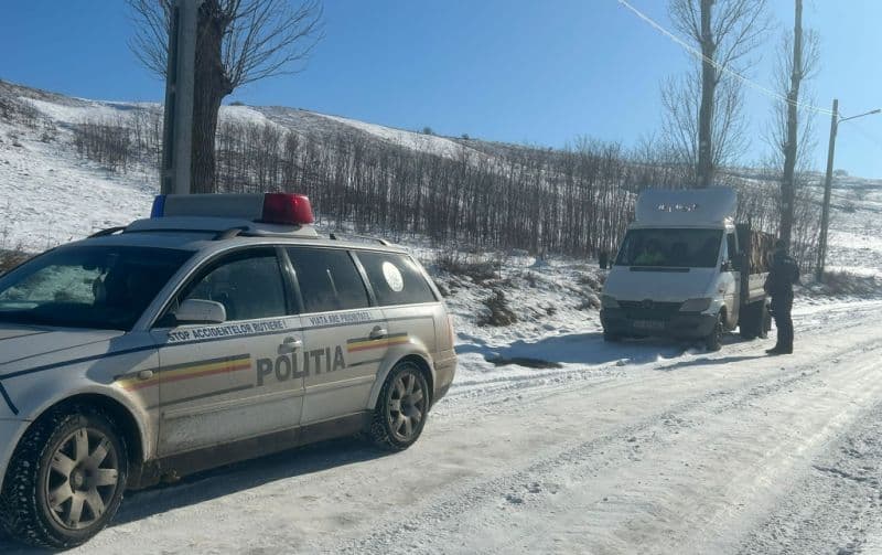 Amendă de 1000 de lei și material lemnos confiscat de polițiști