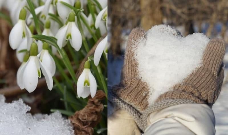 Vine primăvara în România! Vor fi 20 de grade în următoarele zile