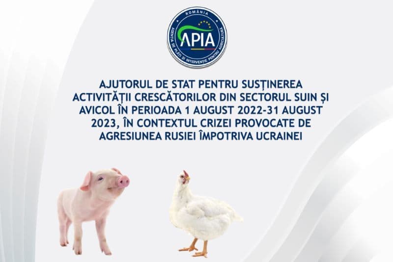 APIA primește cereri de ajutor de stat pentru susținerea activității crescătorilor din sectorul suin și avicol. Vezi termenul limită!