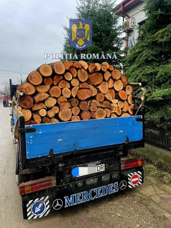Material lemnos confiscat la Ștefănești