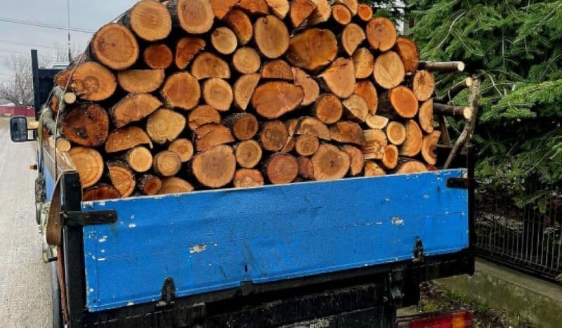 Material lemnos fără documente legale confiscat în Lozna