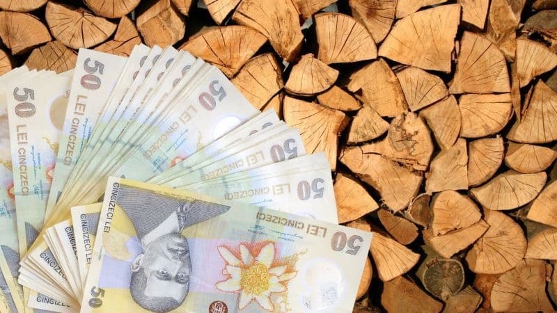 Guvernul României a aprobat menținerea ajutoarelor de încălzire pentru perioada rămasă din această iarnă
