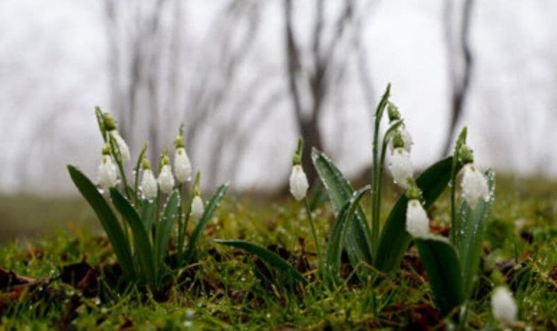 Prognoza meteo pentru următoarele patru săptămâni! Cum va fi vremea în luna martie
