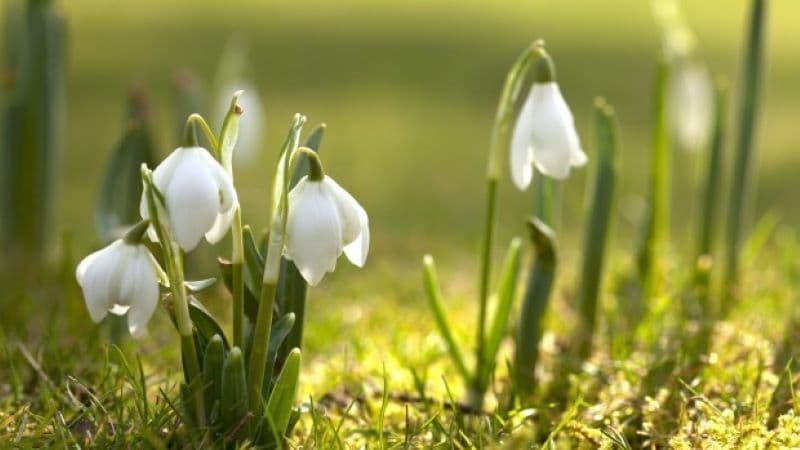 ANM a publicat prognoza meteo pentru următoarele două săptămâni. Vezi cum va fi vremea în Moldova!