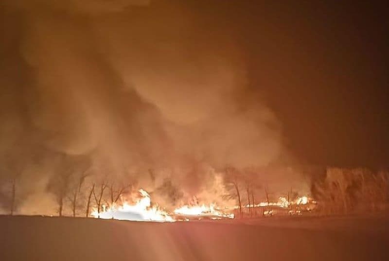 Aproape 18 hectare de vegetație uscată și stuf au ars în comuna Havârna - FOTO