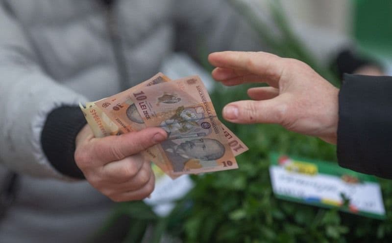 Vouchere pentru cei care stau la curte! Cine poate primi 10.000 de lei de la stat