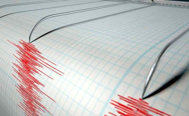Cutremur cu magnitudinea de 4,2 pe scara Richter în România