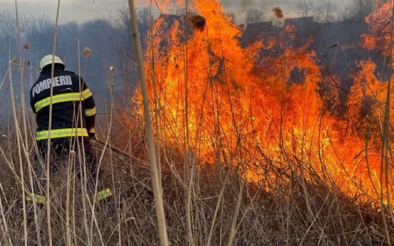 Un bărbat din Mlenăuți a primit o amendă imensă pentru arderea resturilor vegetale. Vezi ce prevede legea în astfel de cazuri!
