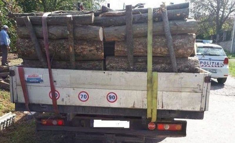 Aproximativ 8 metri cubi de material lemnos confiscat de polițiștii din Dorohoi