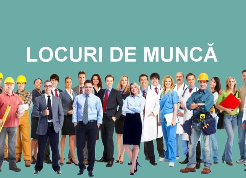 AJOFM: Peste 460 de locuri de muncă disponibile în județul Botoșani. Vezi lista joburilor neocupate!