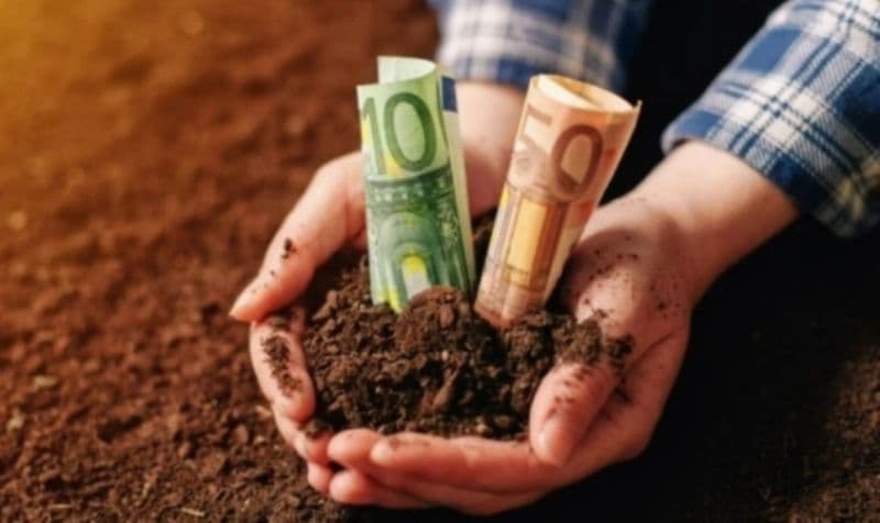 Peste 200.000 de fermieri vor primii câte 100 de euro pe hectar