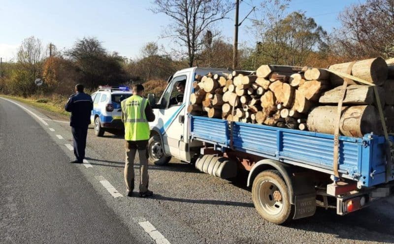 Lemne confiscate și amendă de 1.000 lei
