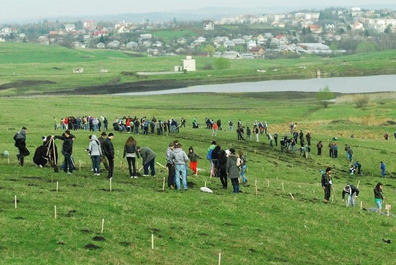 Acțiune de plantare la  Dorohoi! Voluntarii vor planta 20.000 de puieți
