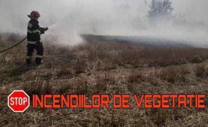 Cinci incendii de vegetație în ultimele două zile