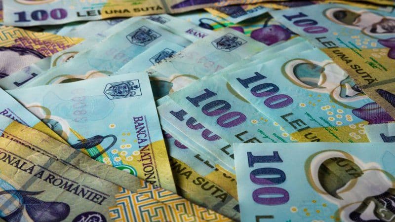 Categoria de români care primește mii de euro de la stat prin programul „Prima Conectare 2024”