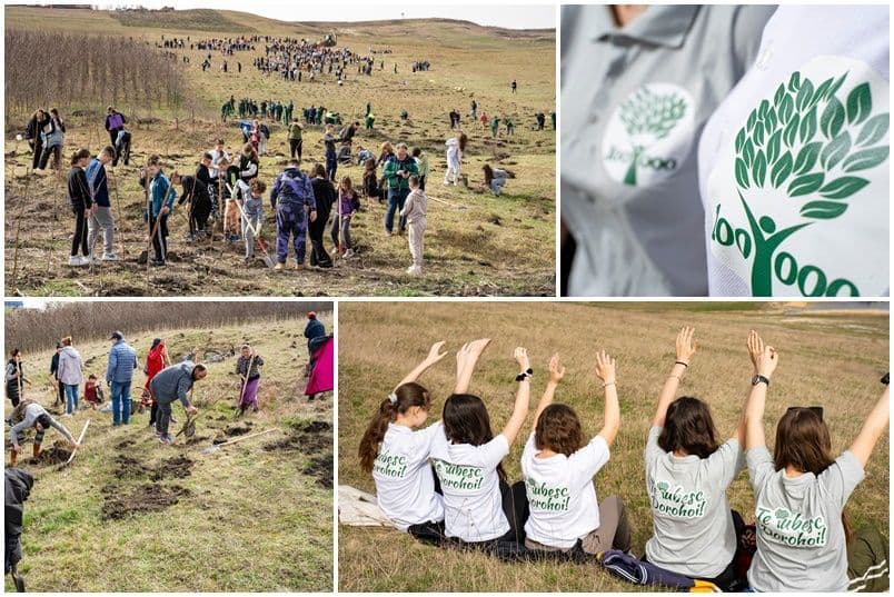 Polonicul nostru, mai verde ca oricând! Voluntarii au plantat peste 20.000 de puieți la Dorohoi - FOTO