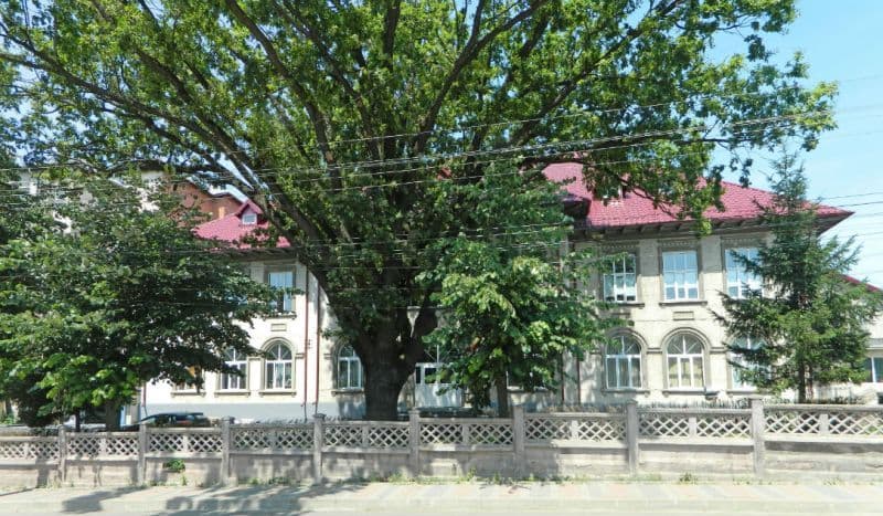 CONTED Dorohoi angajează îngrijitor clădiri
