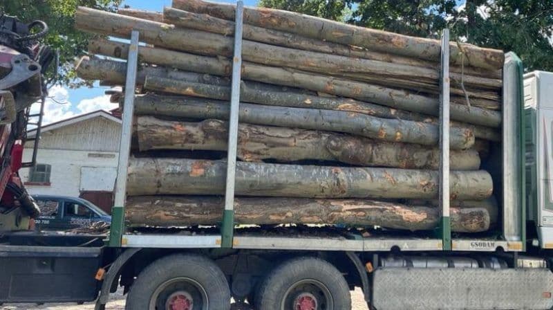 Material lemnos fără documente depistat de polițiști pe o stradă din Dorohoi 