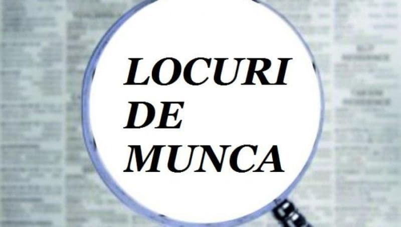 Peste 460 de locuri de muncă vacante la nivelul județului Botoșani în data de 8 aprilie 2024