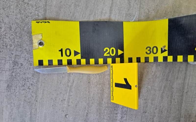 Doi adolescenți amendați după ce au intrat cu un cuțit de 16cm într-un liceu din Dorohoi 