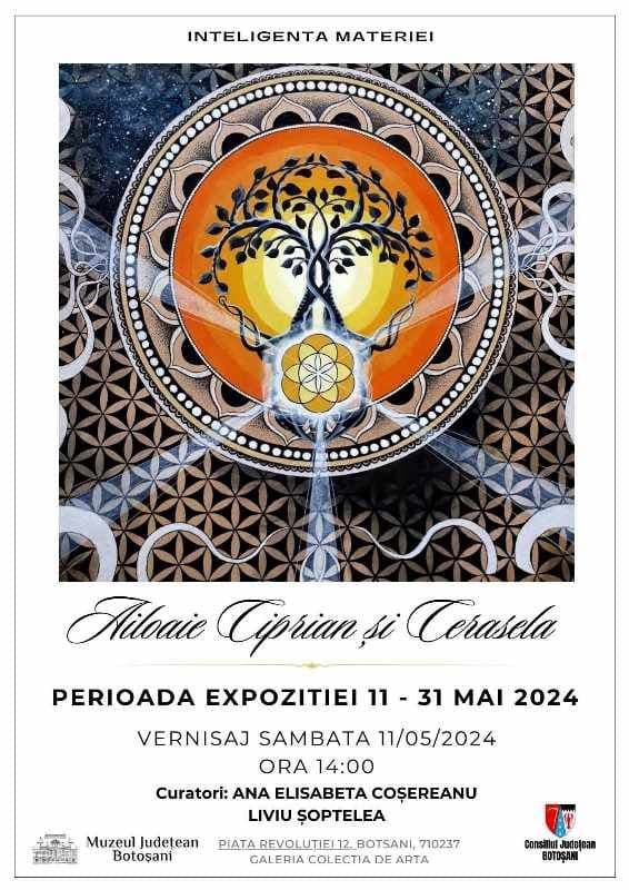 INTELIGENȚA MATERIEI - expoziție în cadrul Colecției de Artă Botoșani organizată la Muzeul Județean Botoșani