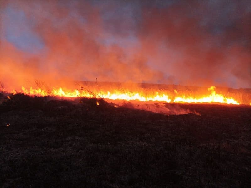 45 de hectare de vegetație uscată au ars, noaptea trecută, în comuna Havârna