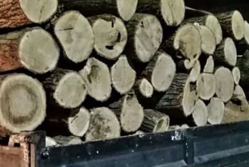 Material lemnos fără documente confiscat la Cordăreni