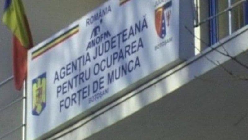Peste 1300 de persoane angajate prin intermediul AJOFM Botoșani, în primele patru luni ale anului 2024 