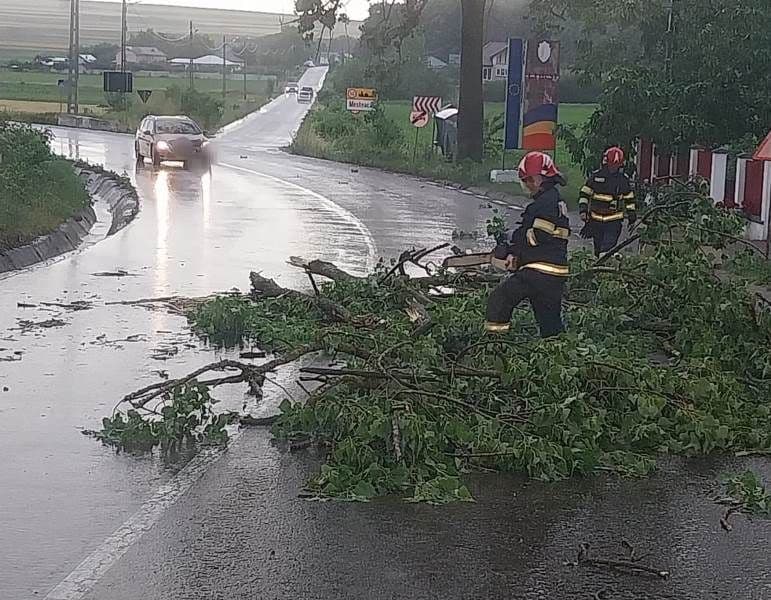 Copaci și cabluri electrice rupte de vânt în urma fenomenelor meteo din județ - FOTO