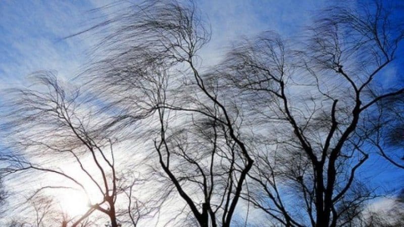 Avertizare meteorologică nowcasting tip cod galben de vânt pentru județul Botoșani