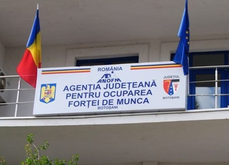3,97% - Rata șomajului înregistrat în evidențele AJOFM Botoșani în luna mai 2024
