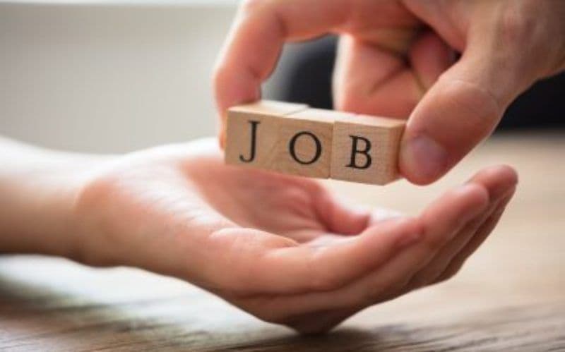 Locuri de muncă vacante la nivelul județului Botoșani la 25 iunie 2024