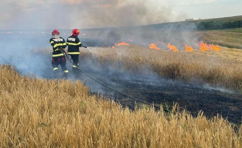 ISU Botoșani: Campanie de recoltare a cerealelor, fără incendii