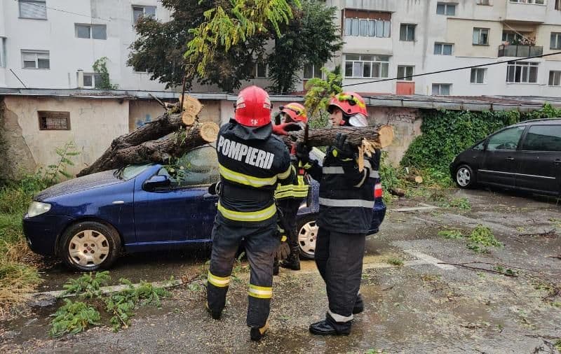 Mașini avariate de copaci căzuți după furtuna de ieri în Botoșani - FOTO