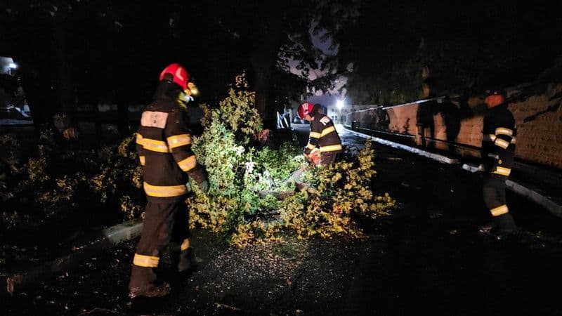 Copaci doborâți și inundații în urma fenomenelor meteo periculoase din ultimele ore - FOTO