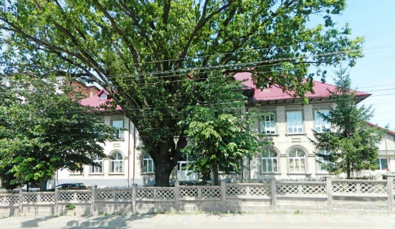 SC CONTED SA Dorohoi angajează operator calculator și femeie de serviciu