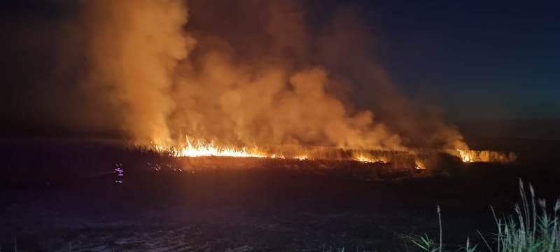 Trei incendii de vegetație uscată izbucnite în ultimele ore în județ. Zeci de hectare de stuf și copaci au ars